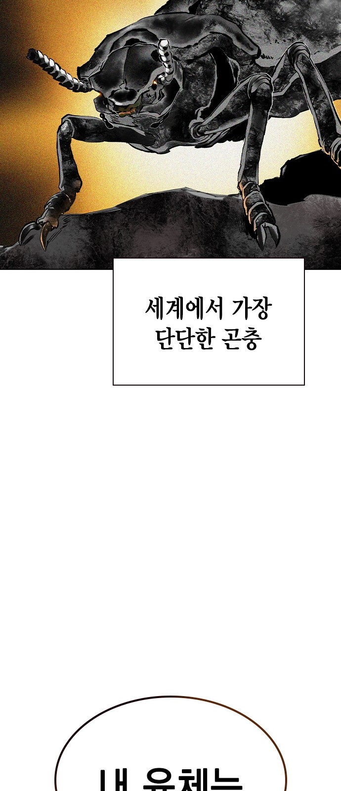 108 페이지