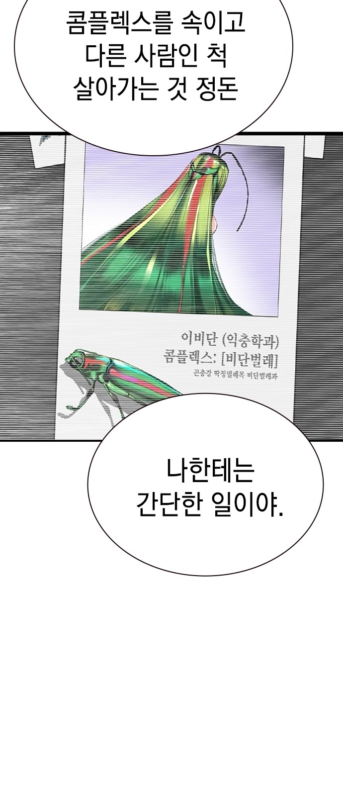 86 페이지