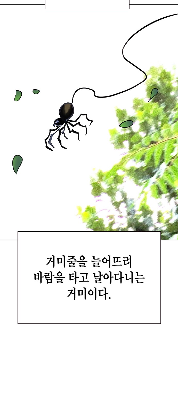 53 페이지