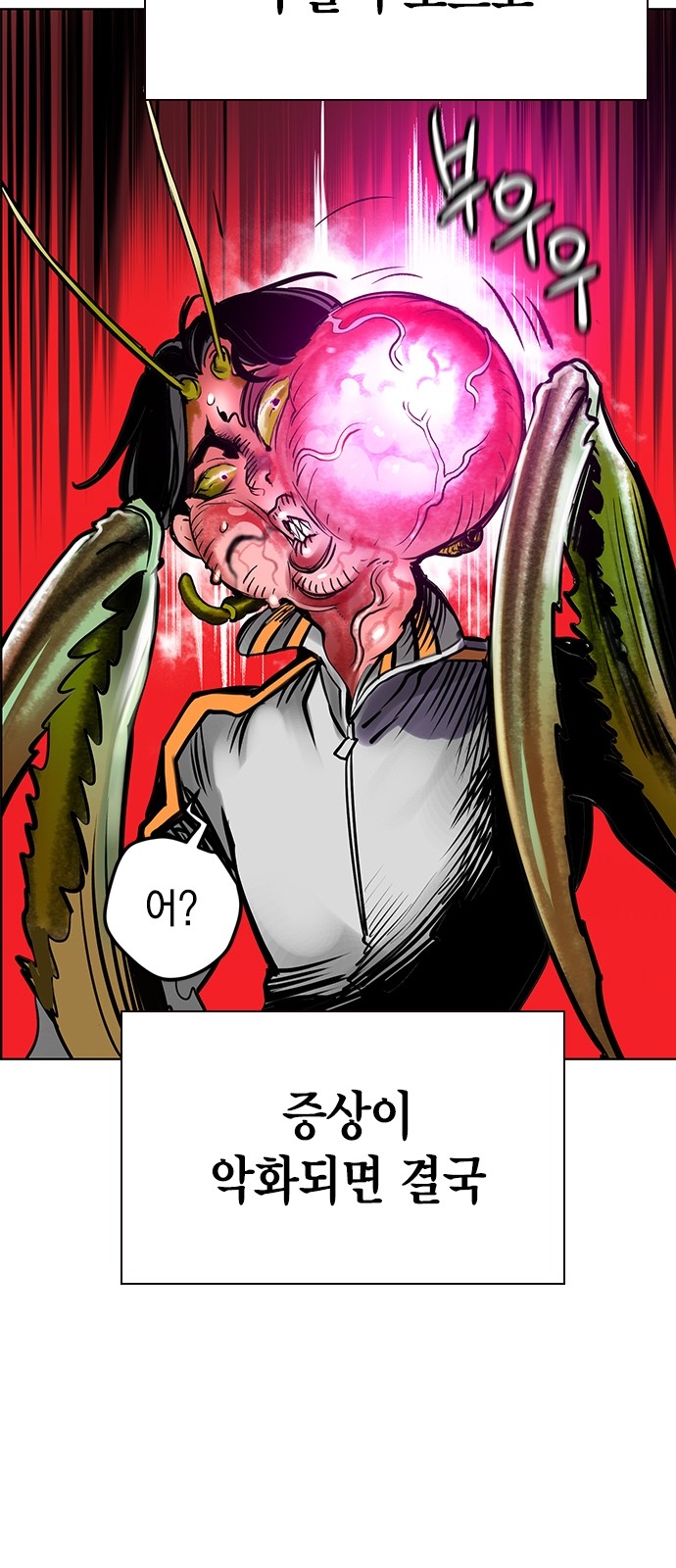 115 페이지