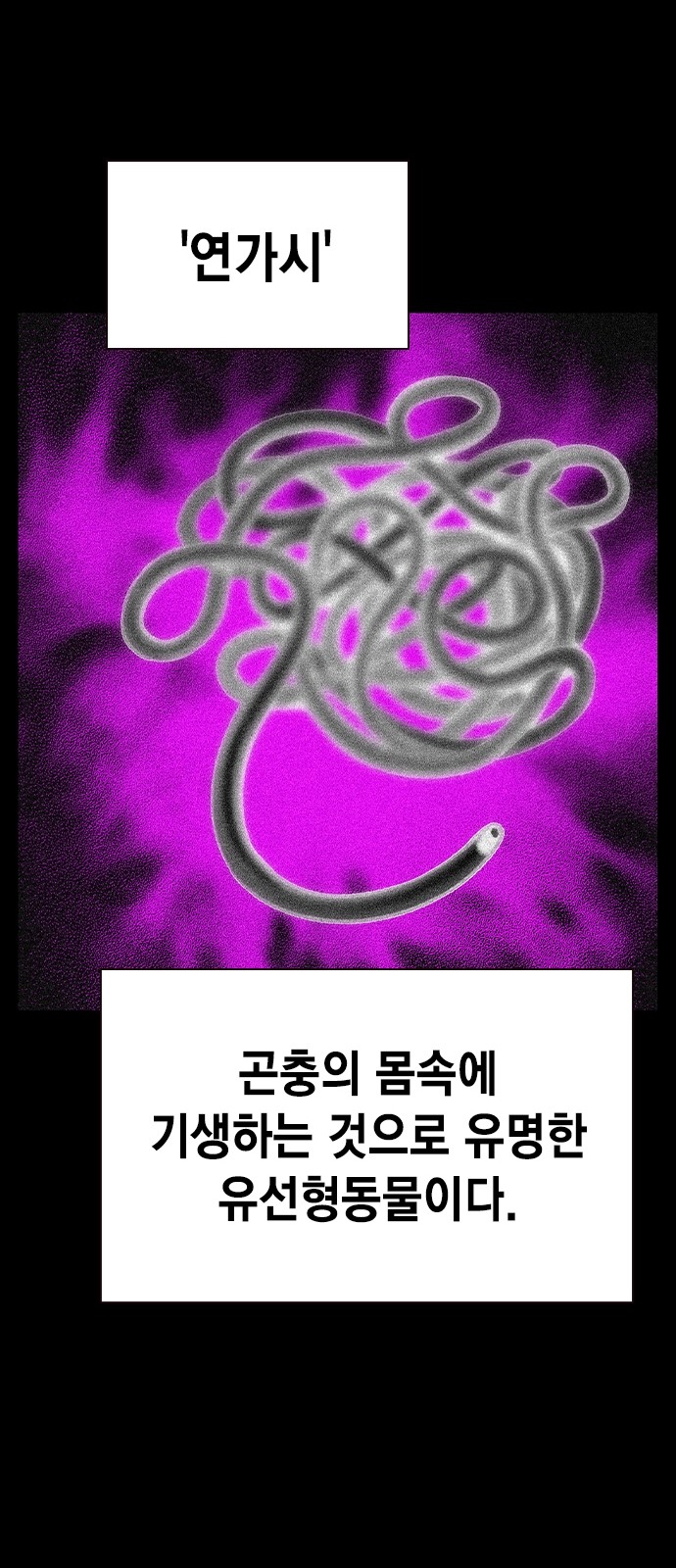 32 페이지