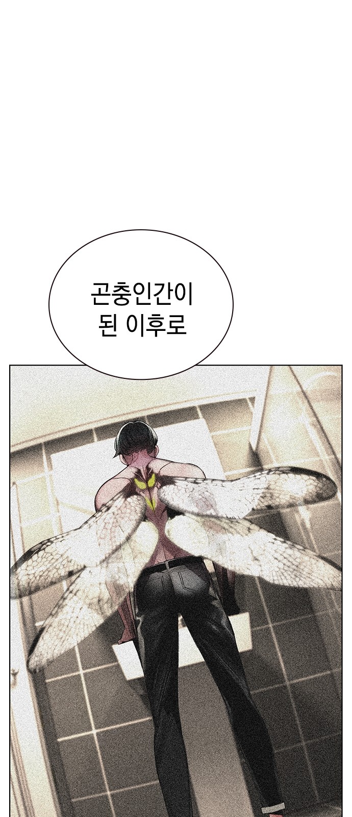 71 페이지