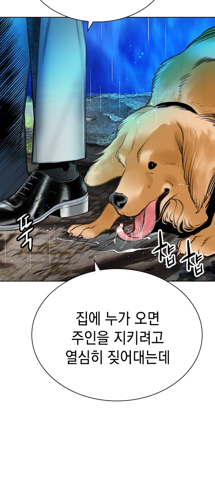 66 페이지