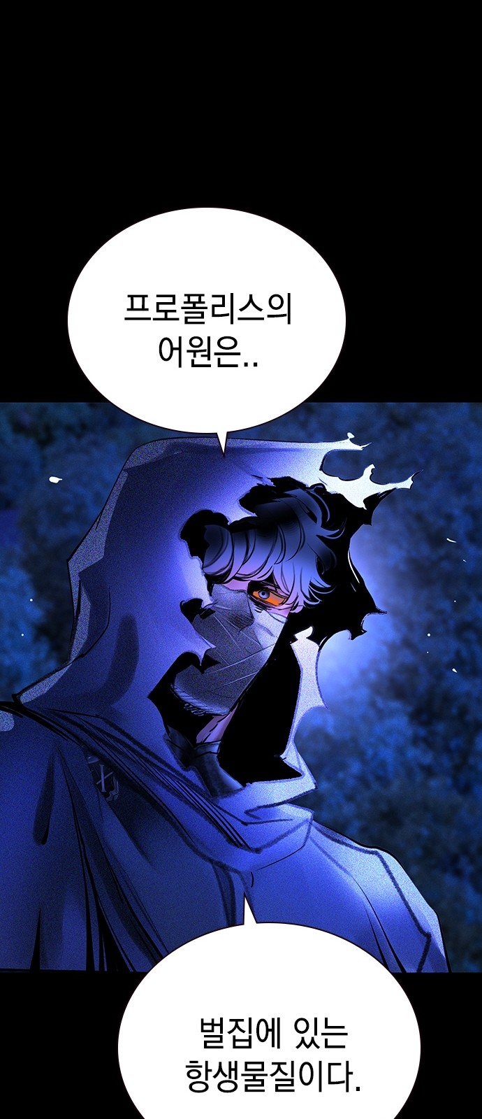 71 페이지