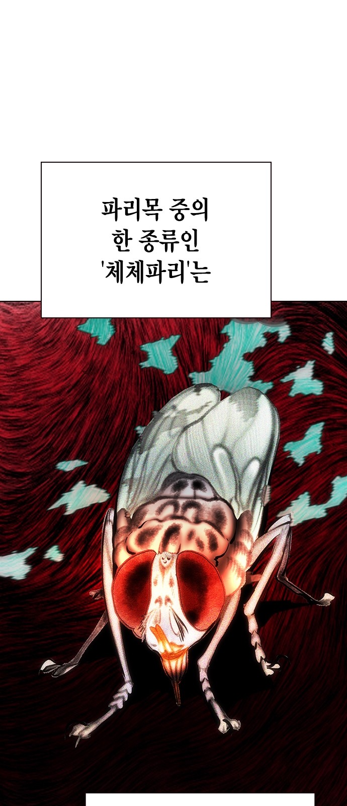 76 페이지