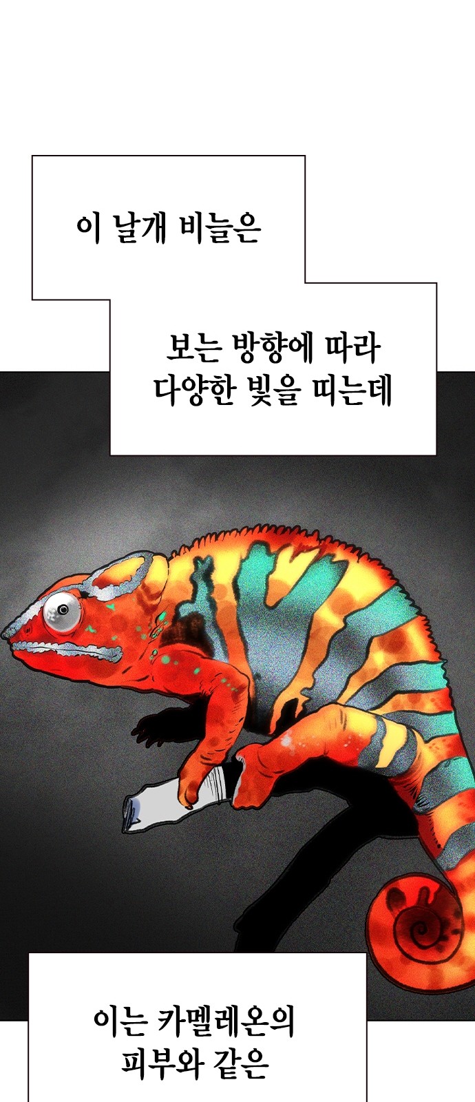 24 페이지