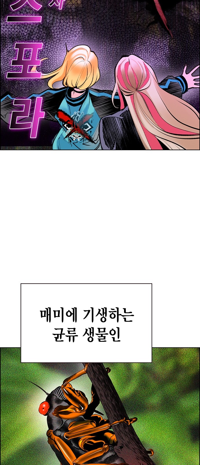 38 페이지