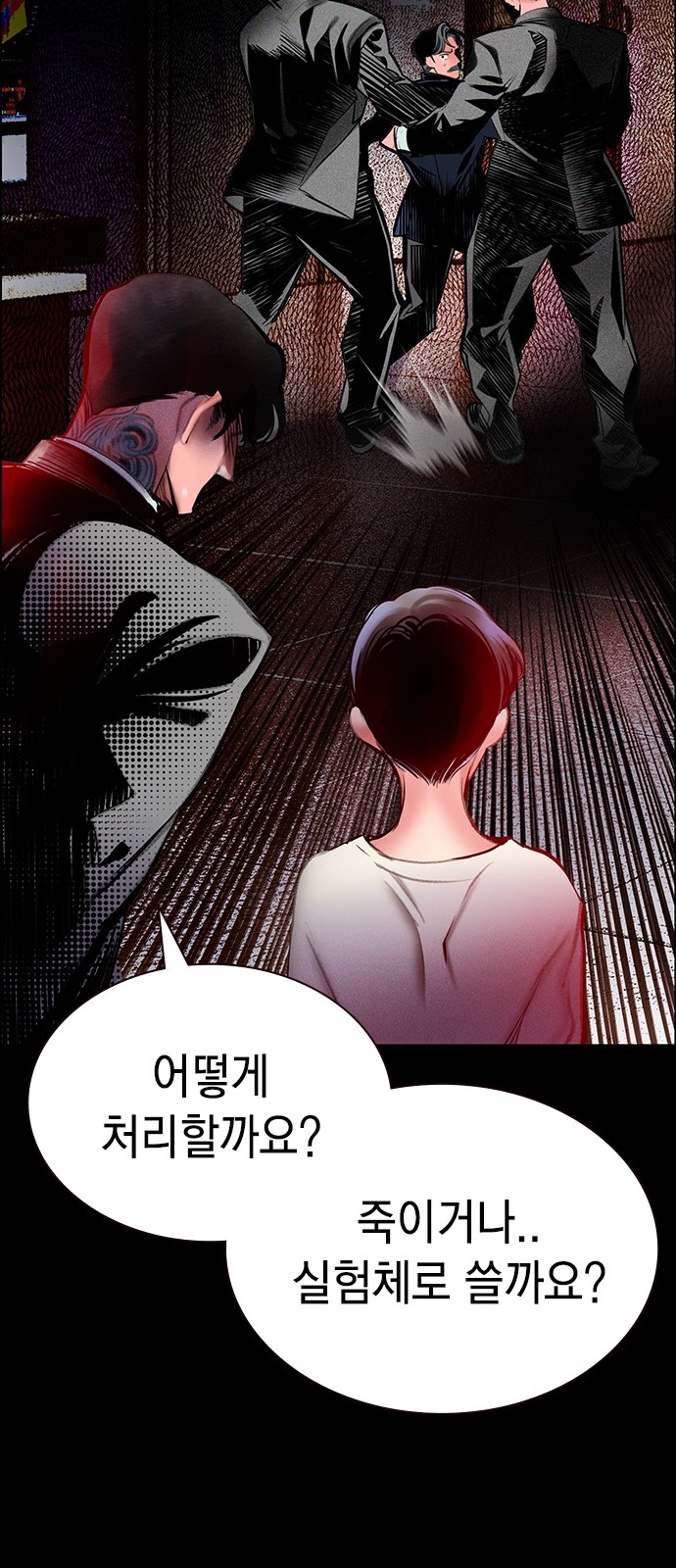 66 페이지