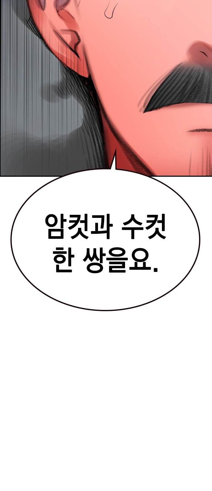 100 페이지
