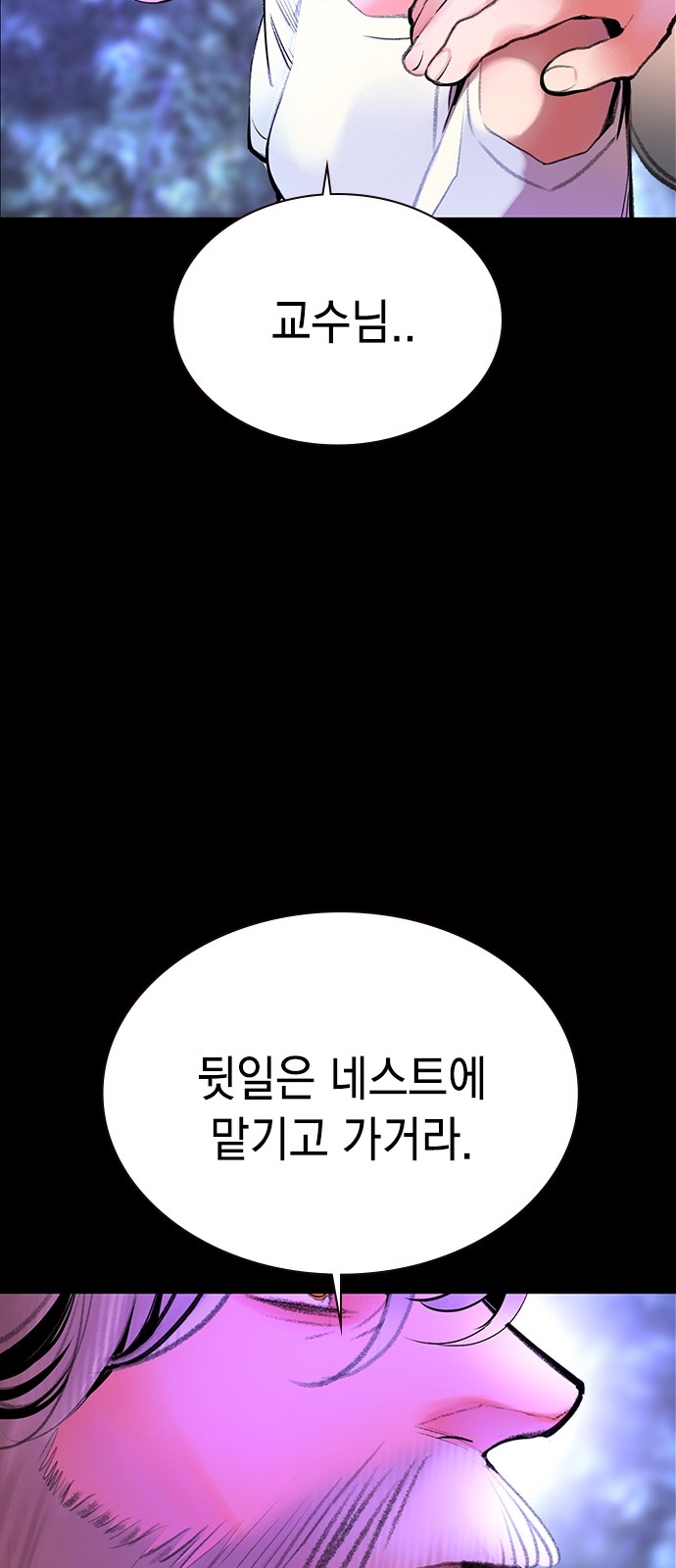 81 페이지
