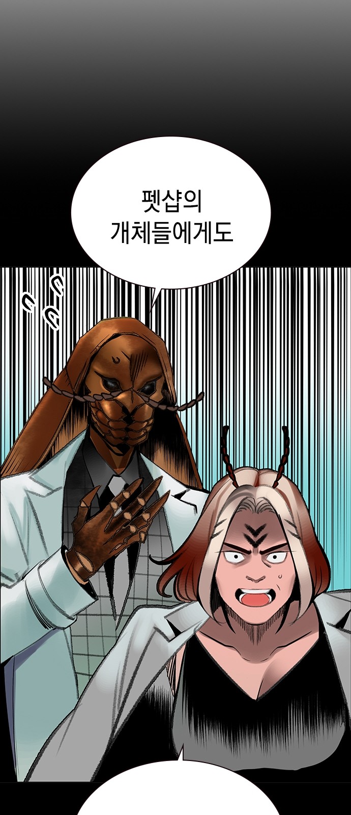 54 페이지