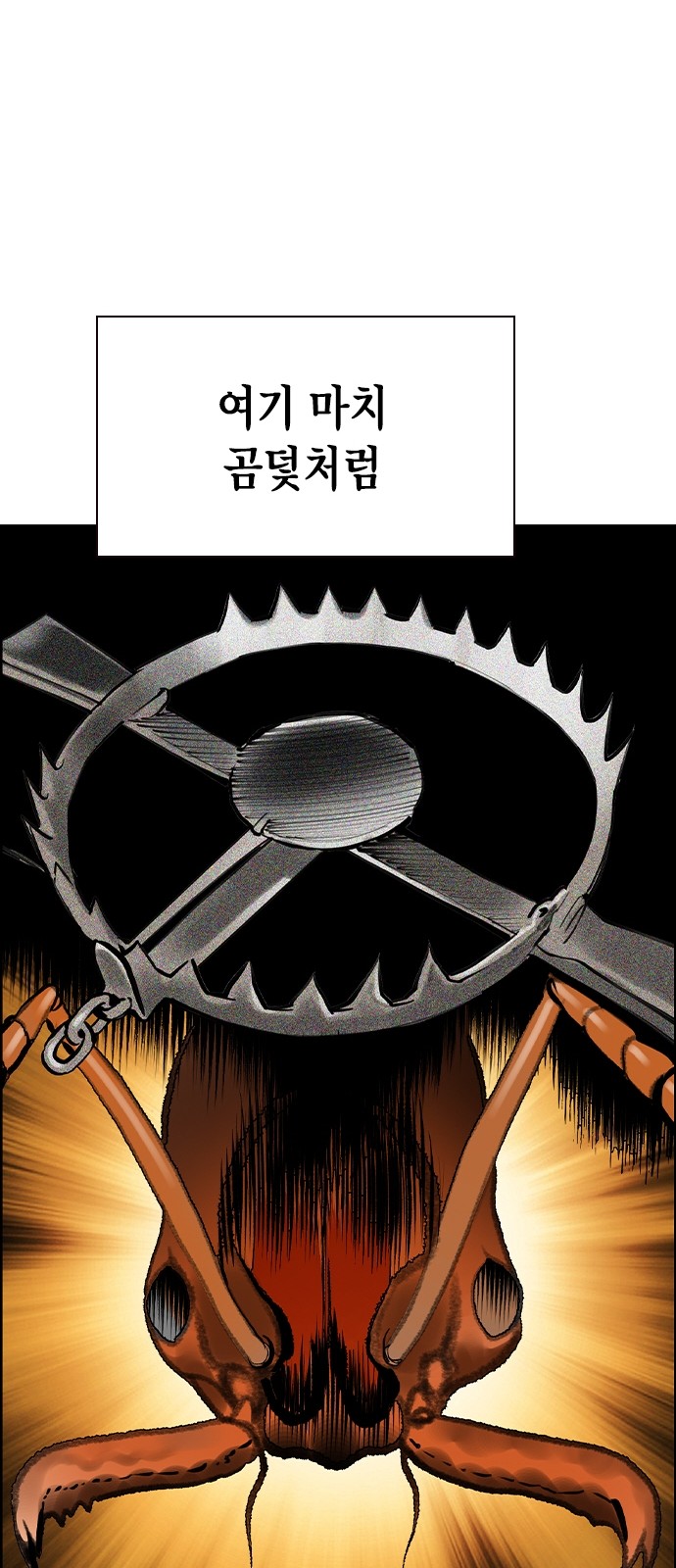 47 페이지