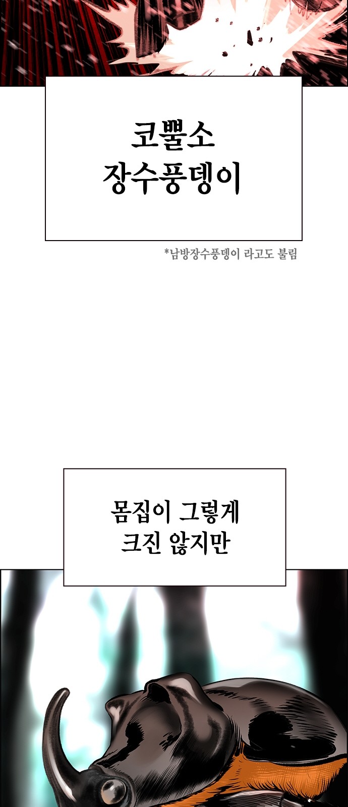 59 페이지