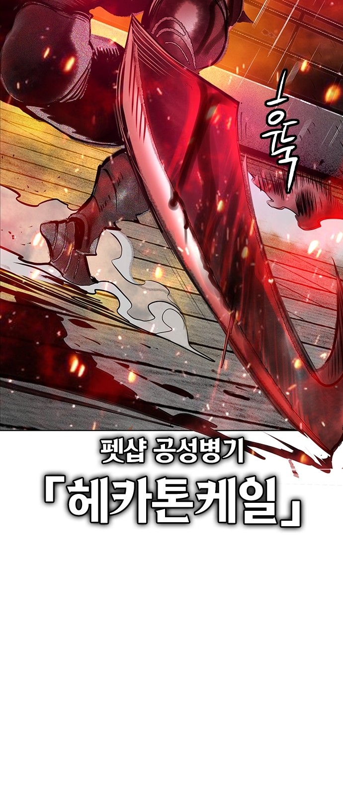 113 페이지