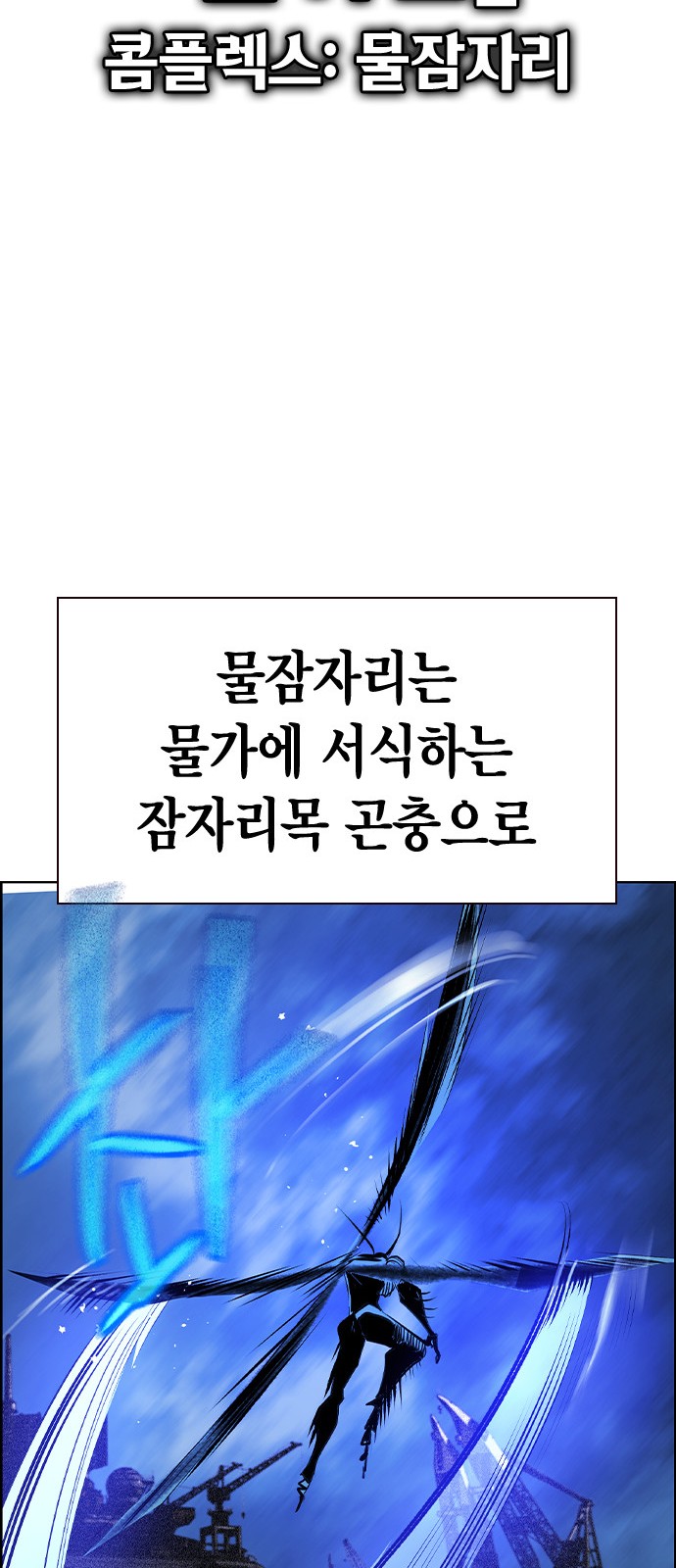 71 페이지
