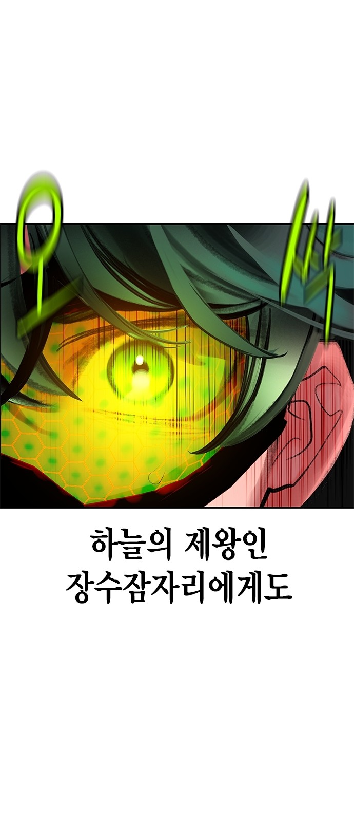 114 페이지