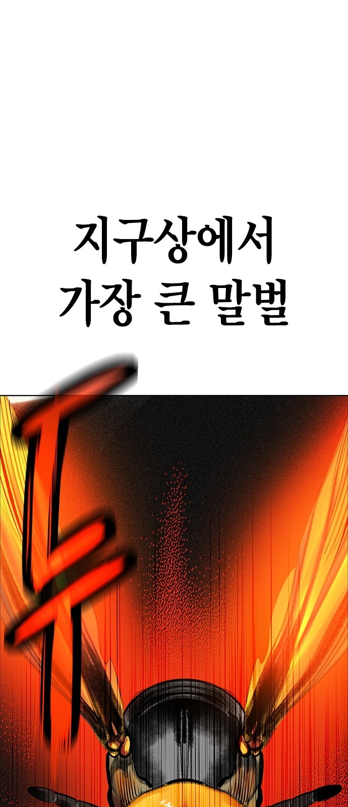 116 페이지