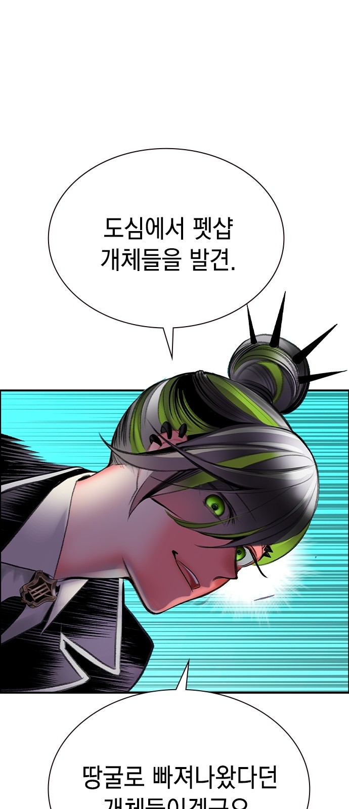 75 페이지