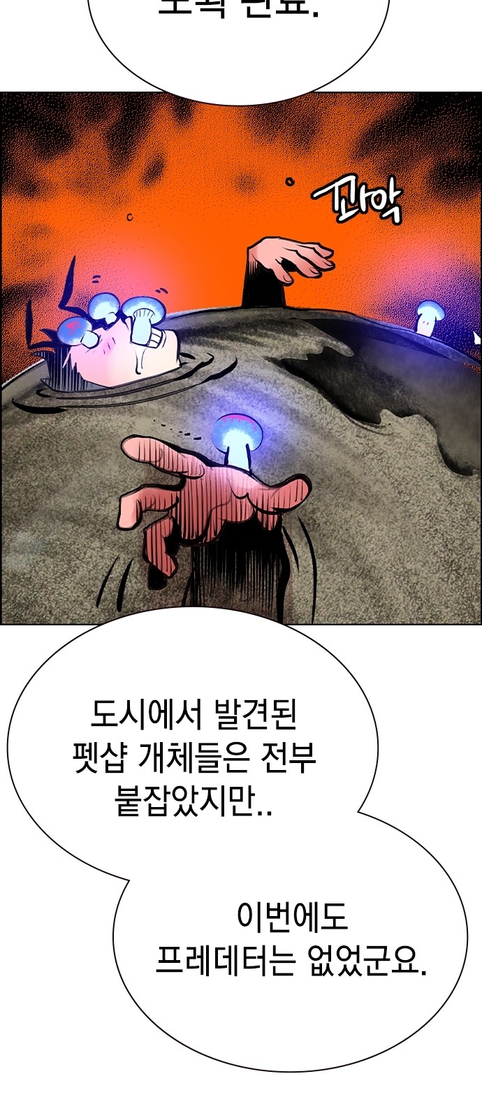 86 페이지