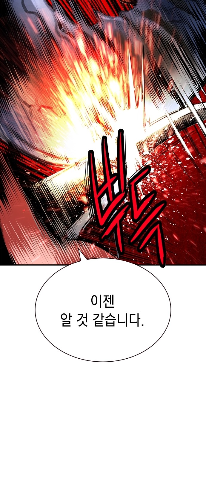 113 페이지