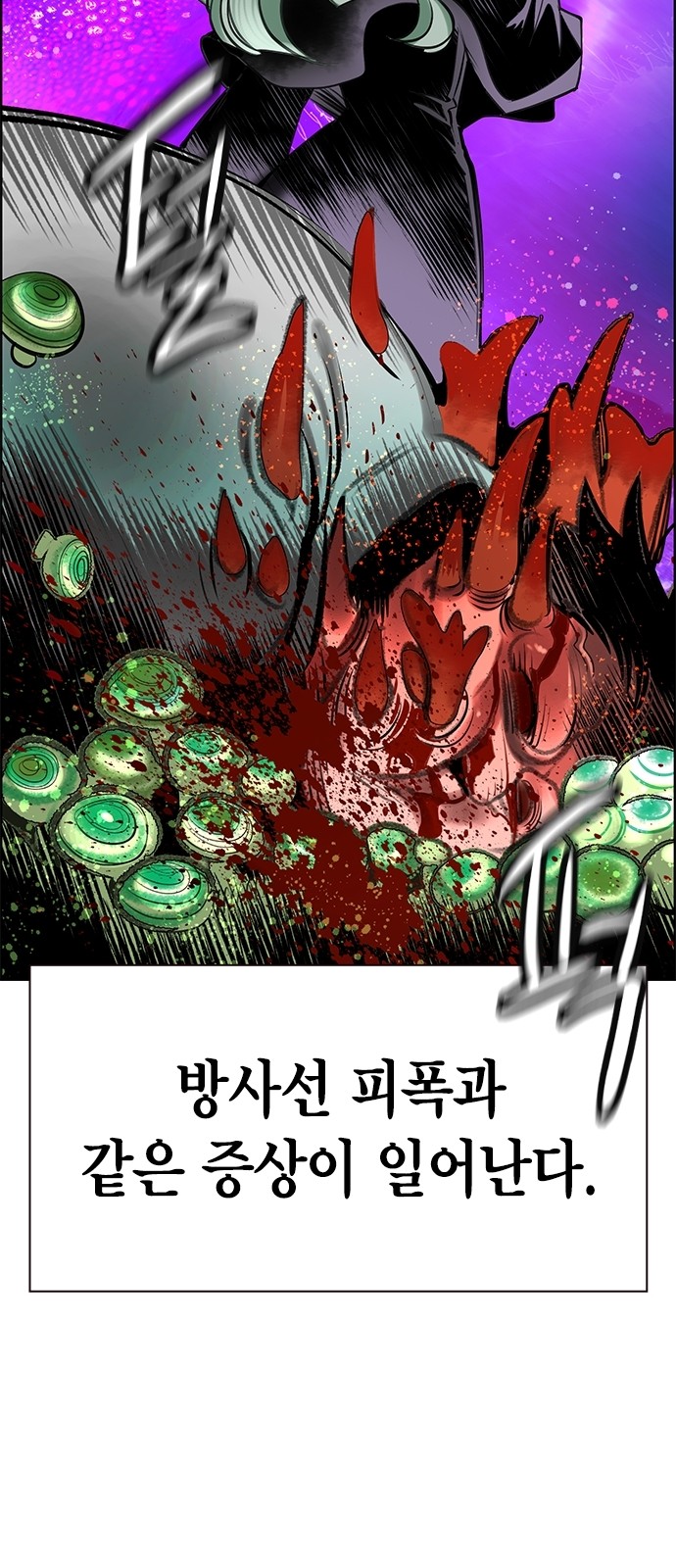 33 페이지