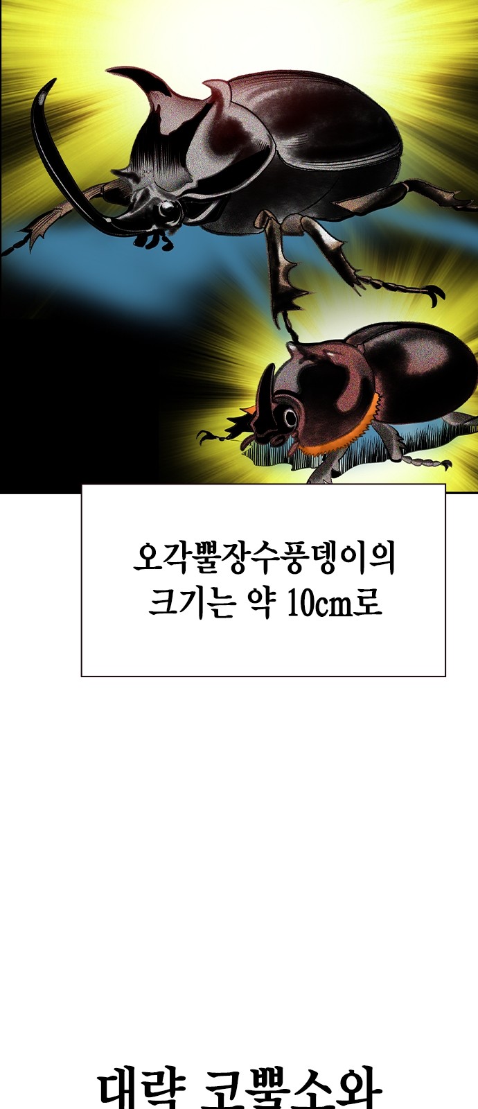 100 페이지