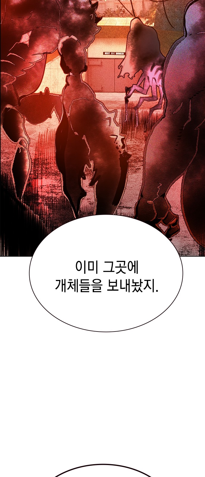 114 페이지