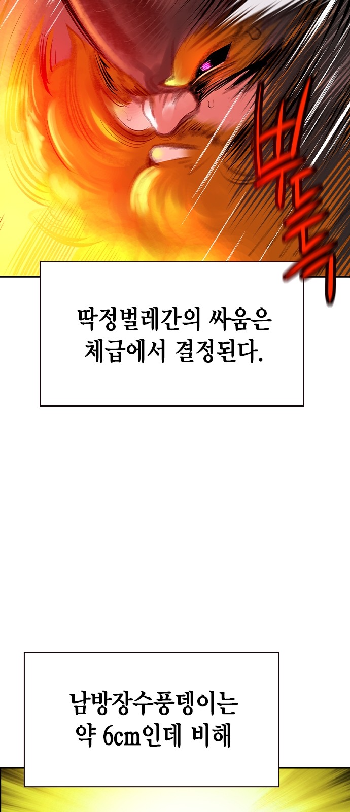 99 페이지