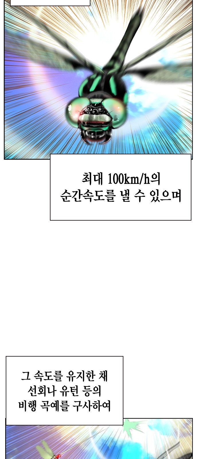 76 페이지