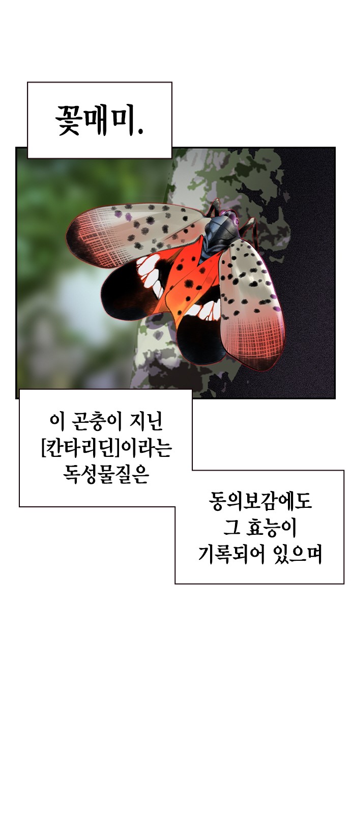 90 페이지