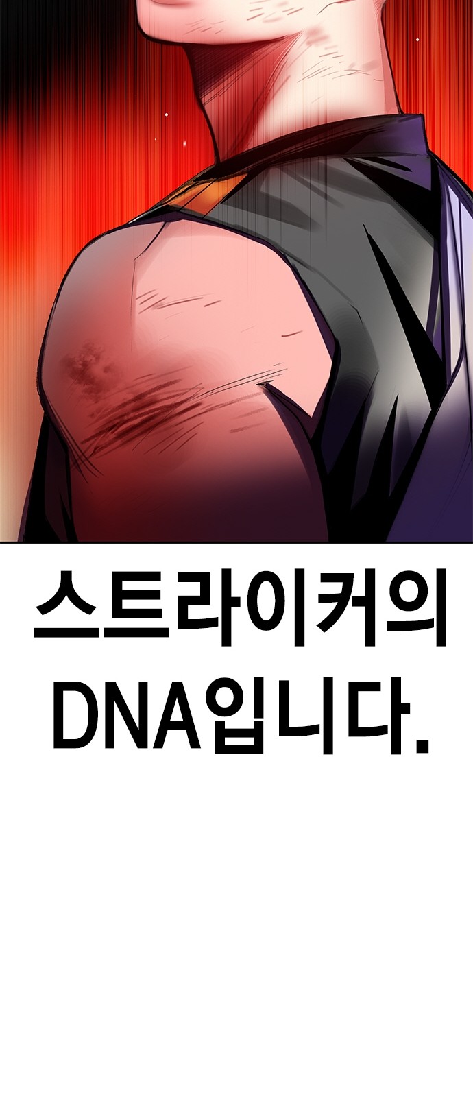 80 페이지