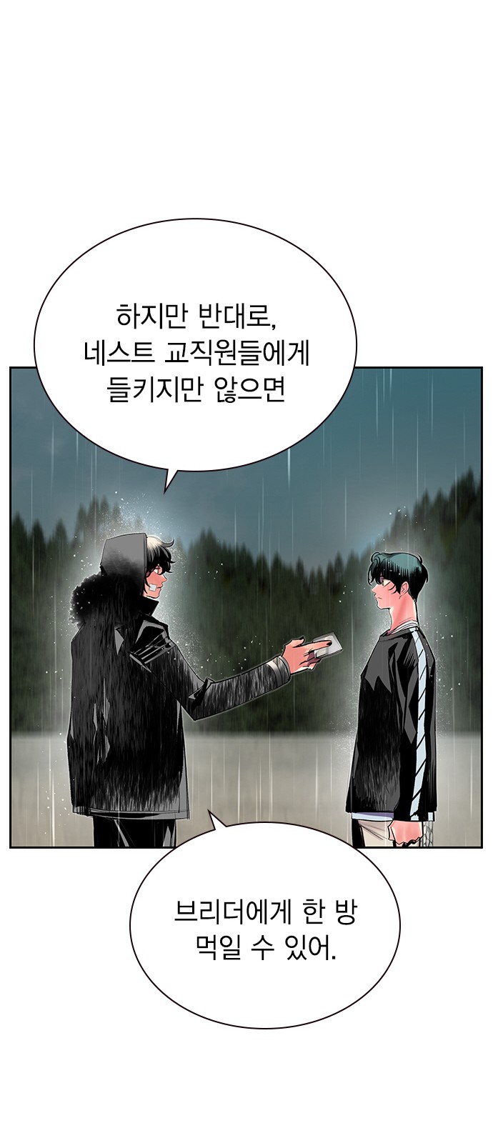 38 페이지