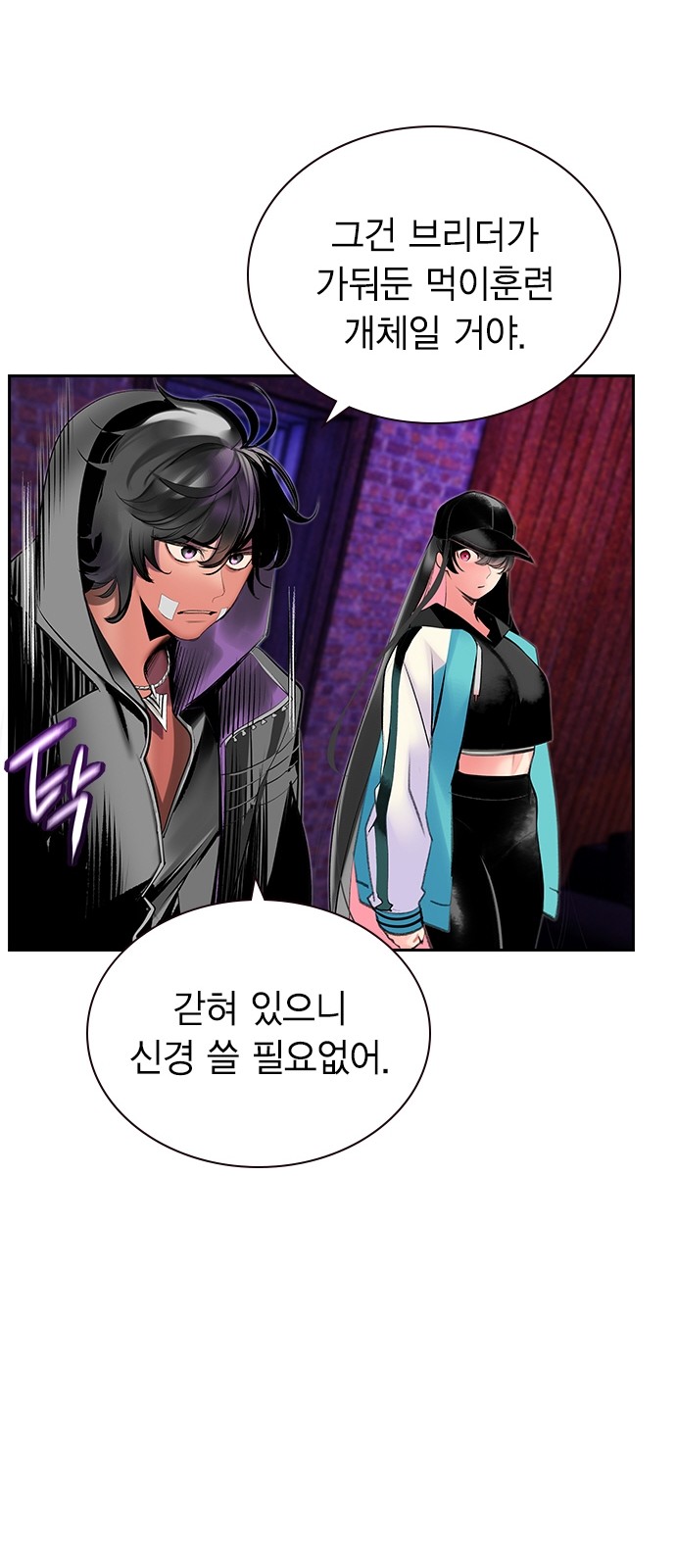 52 페이지