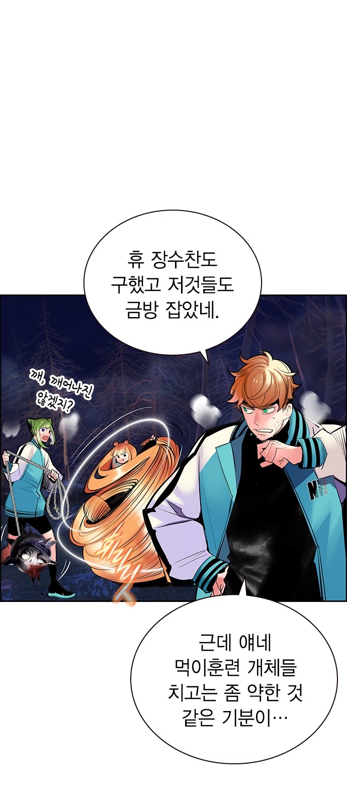 75 페이지