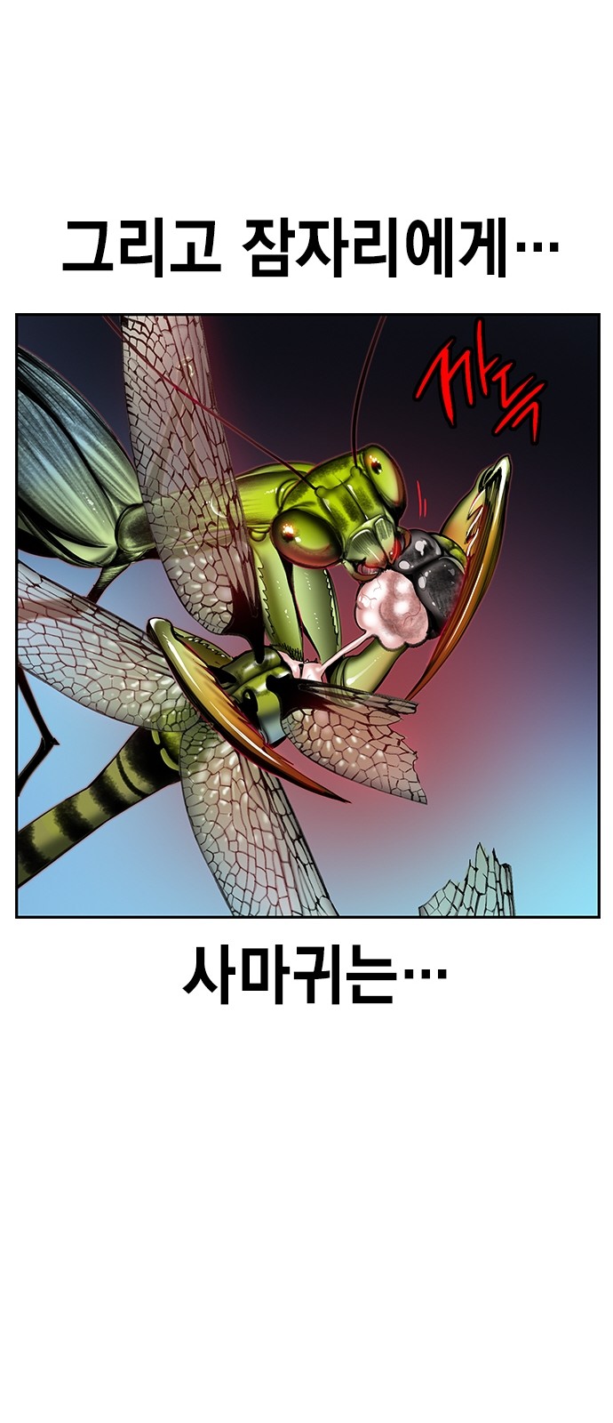 81 페이지