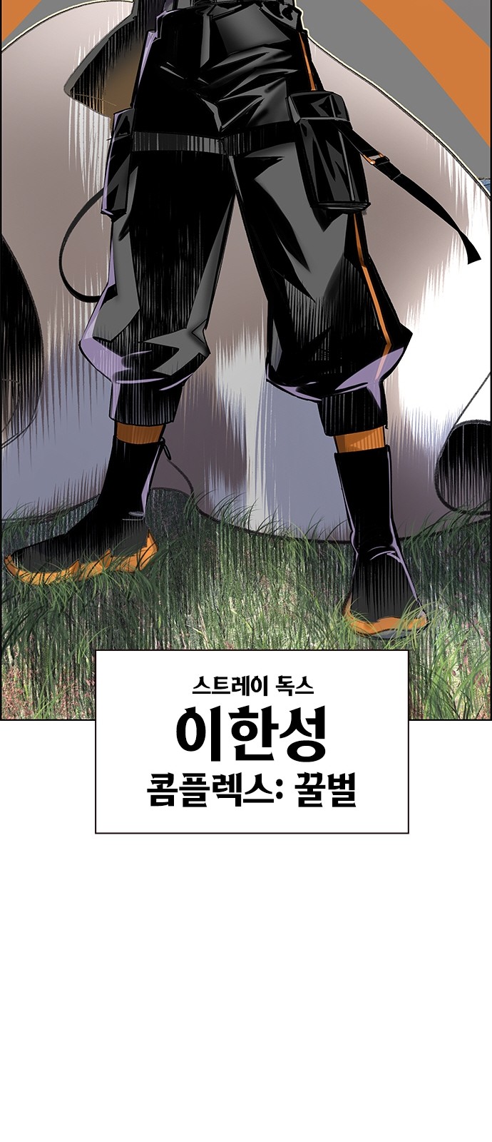 50 페이지