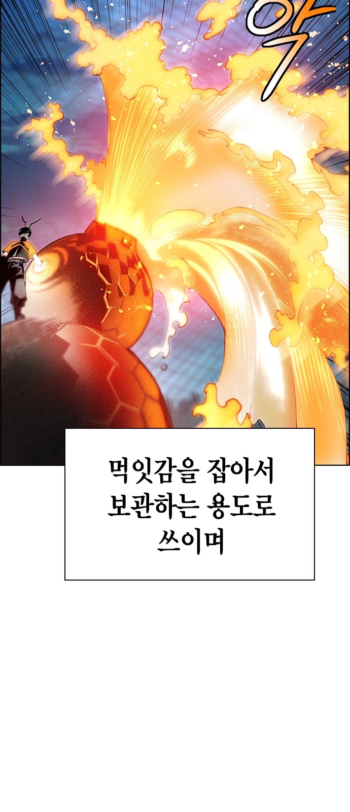 65 페이지