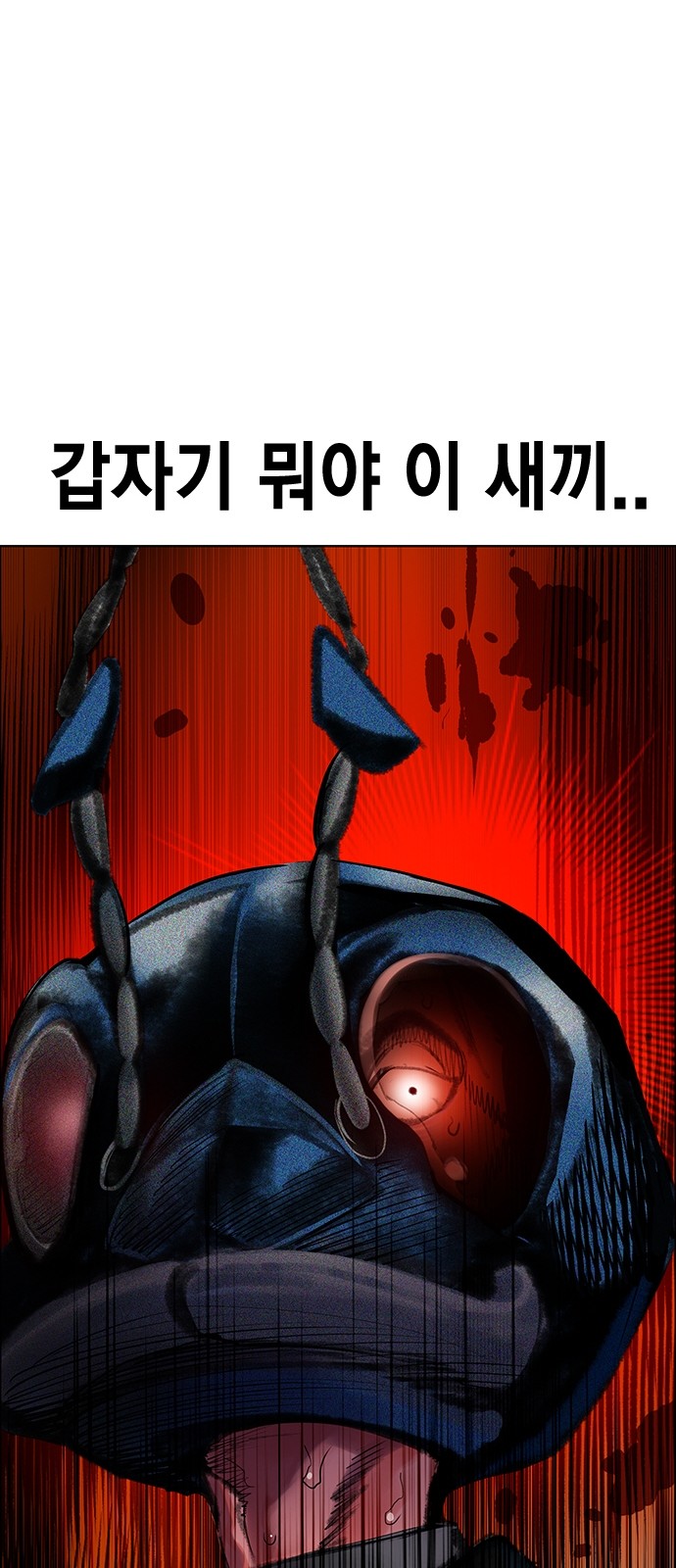 141 페이지