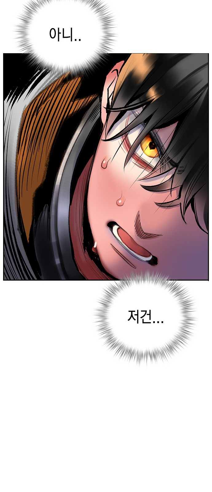 115 페이지