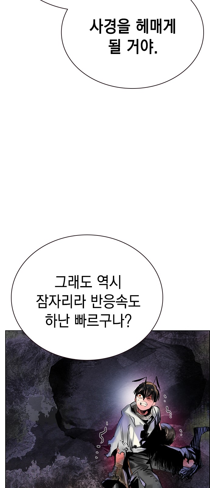 46 페이지