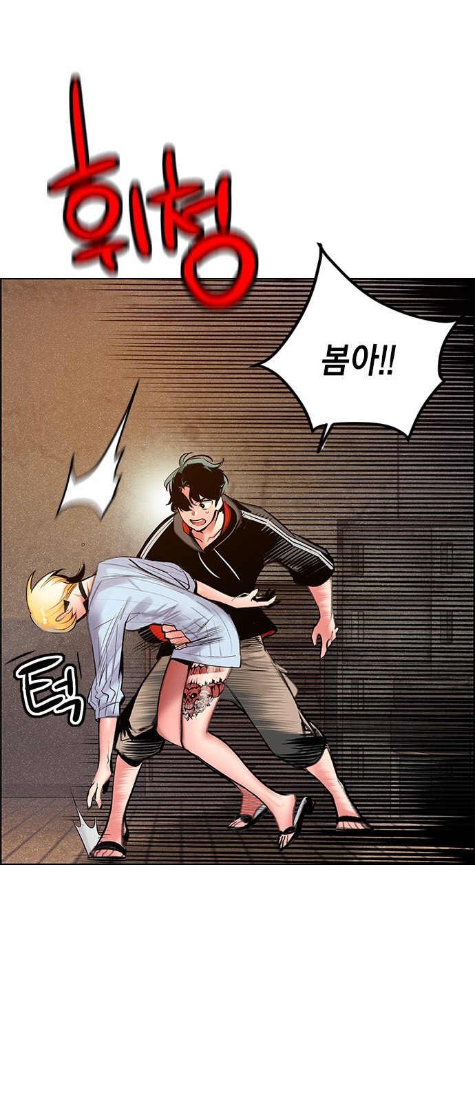 5 페이지