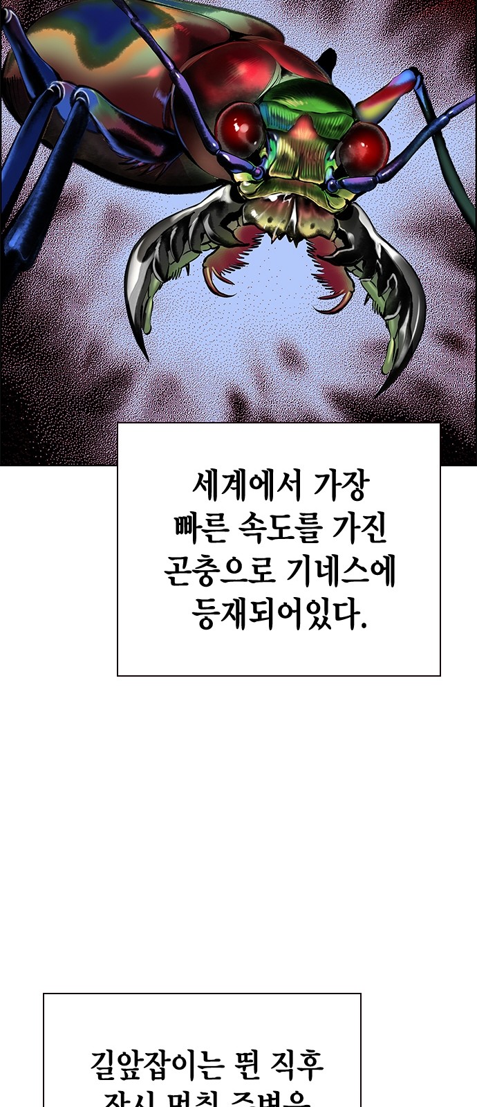100 페이지