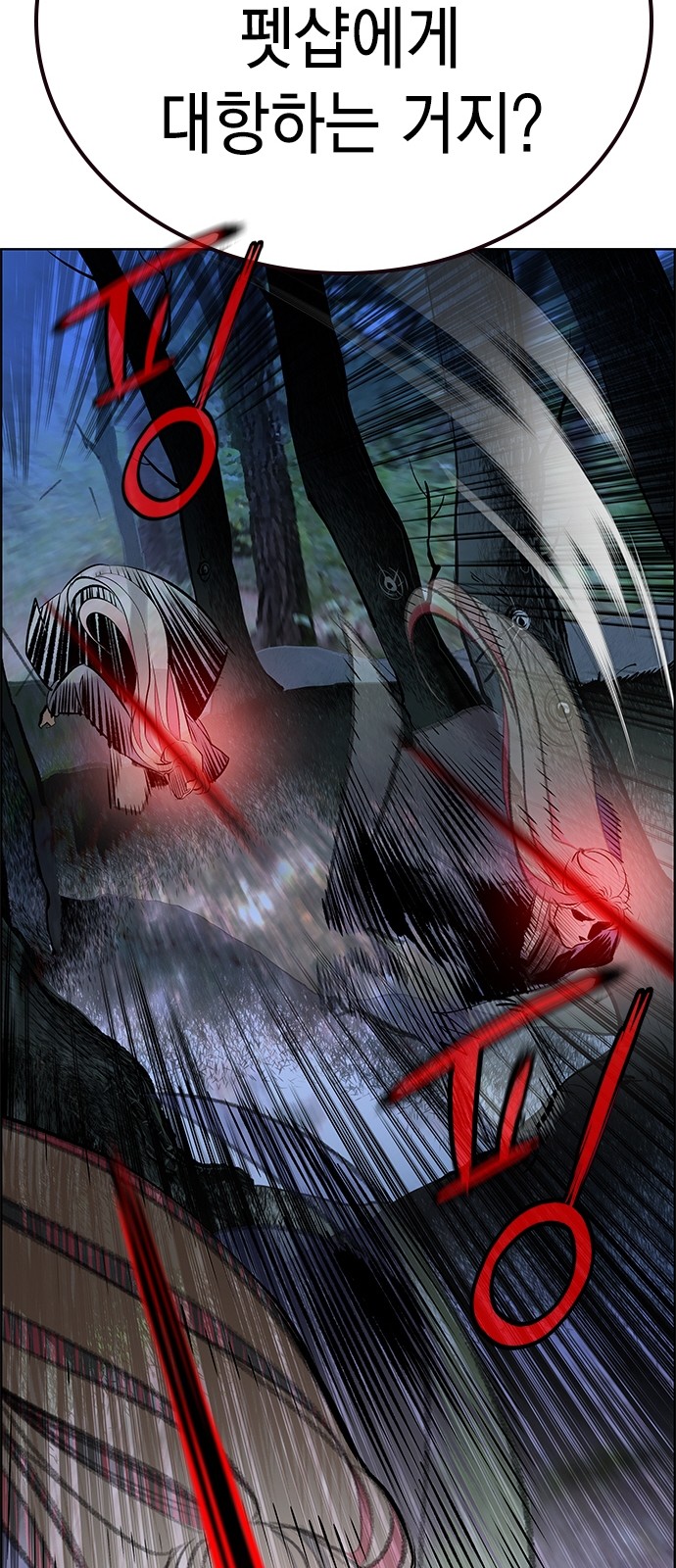 95 페이지