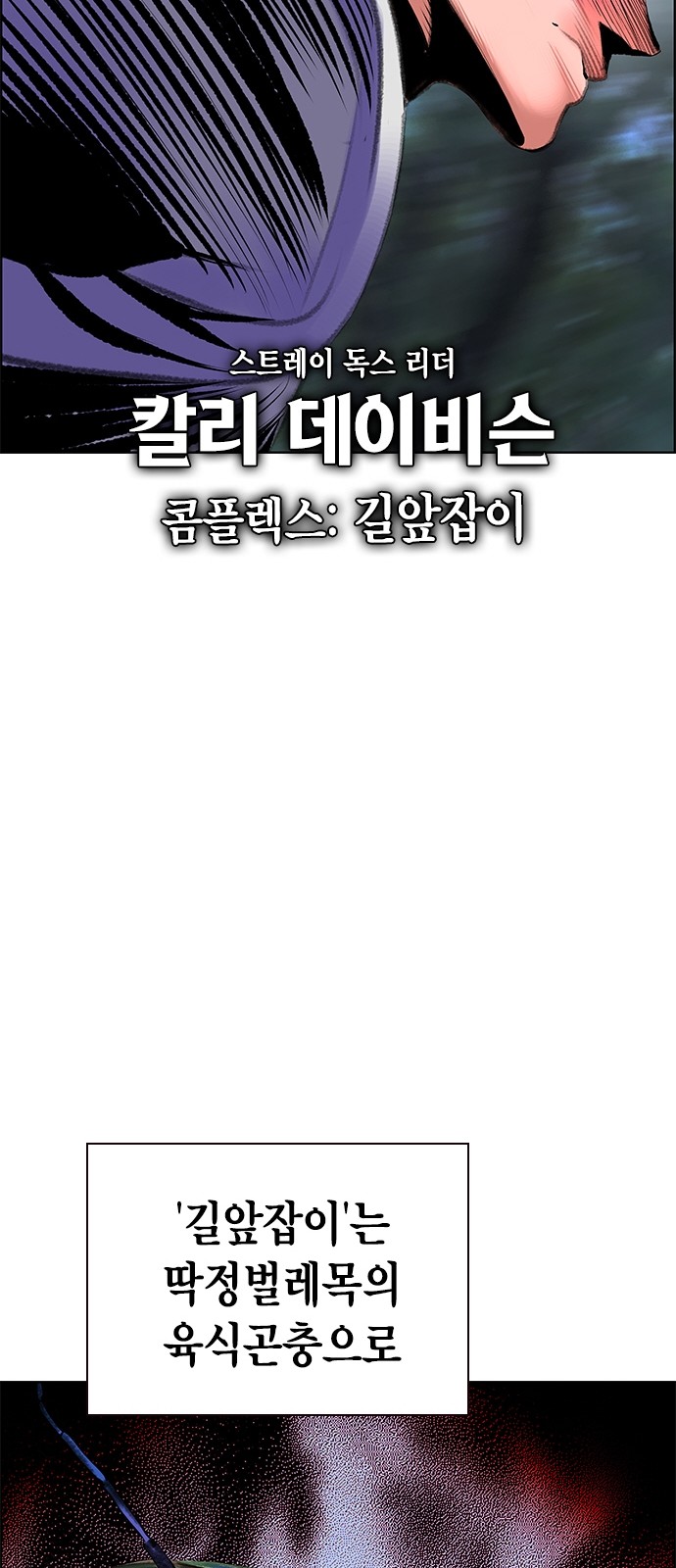 99 페이지