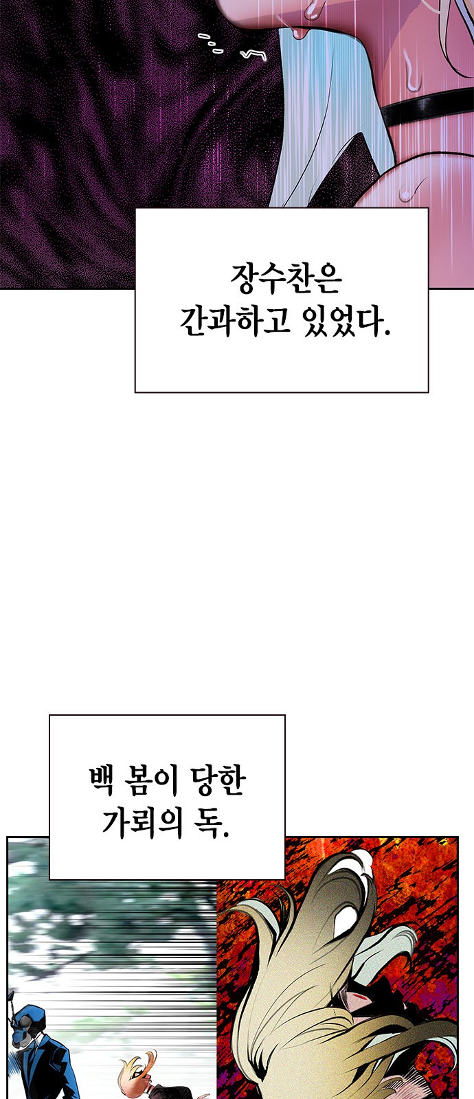 115 페이지