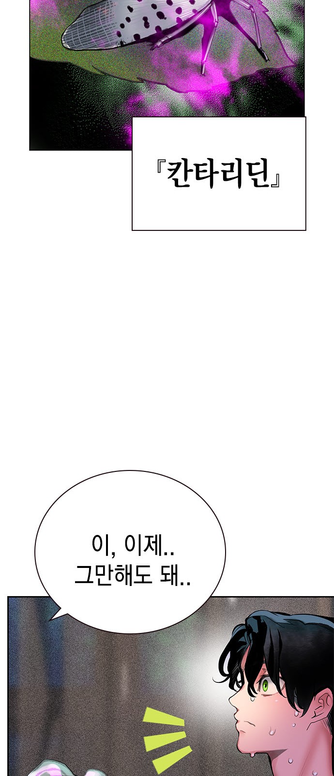 117 페이지