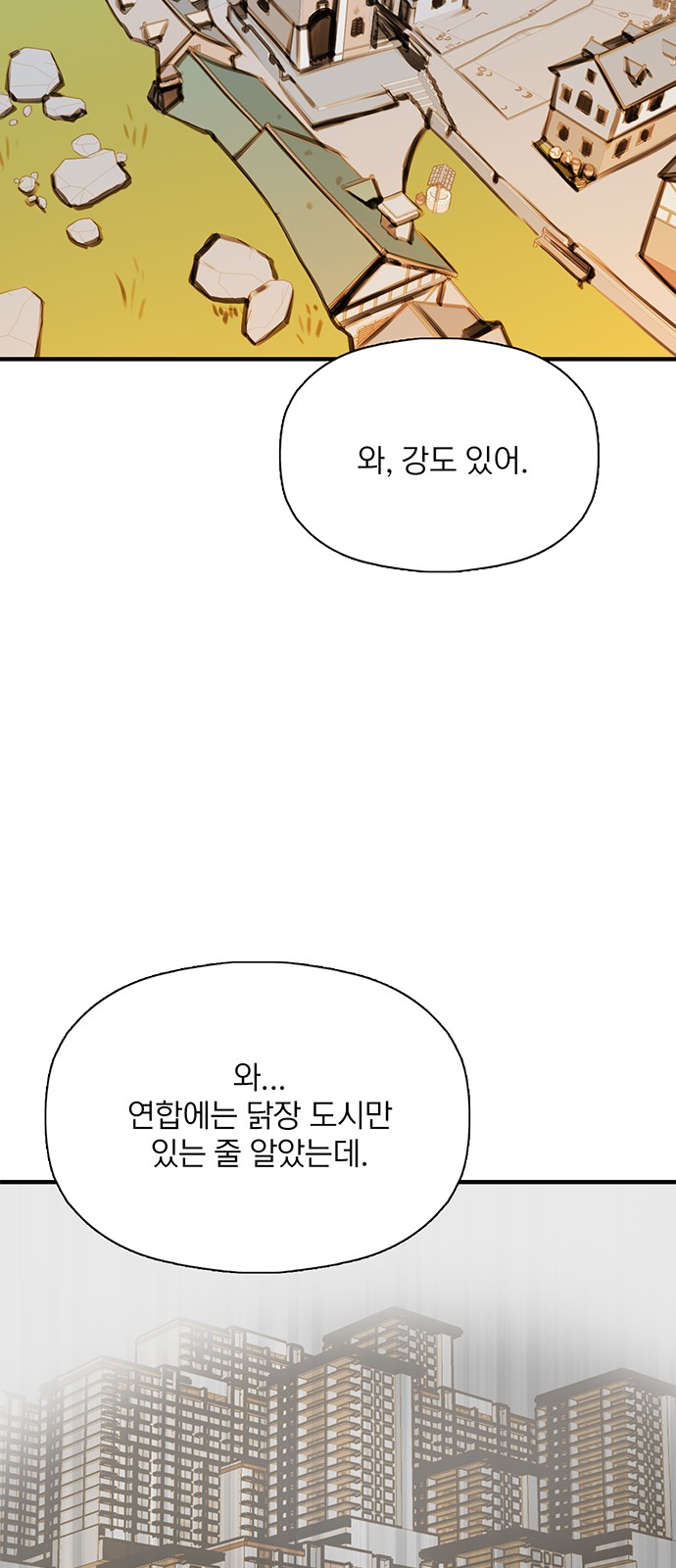 41 페이지