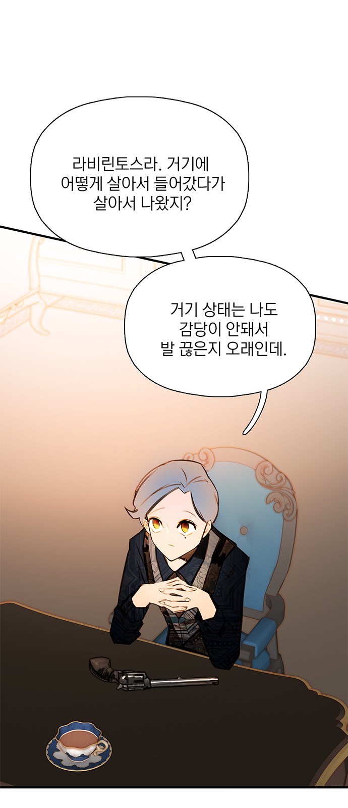 46 페이지
