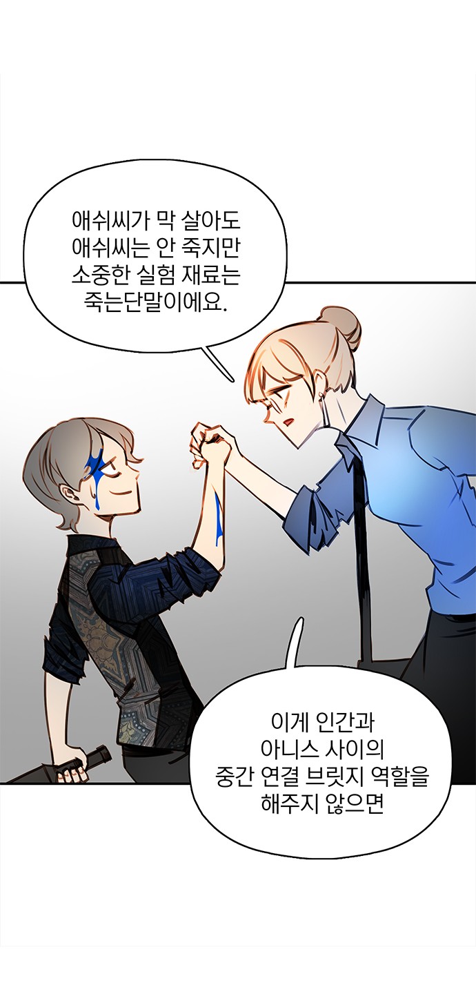 43 페이지