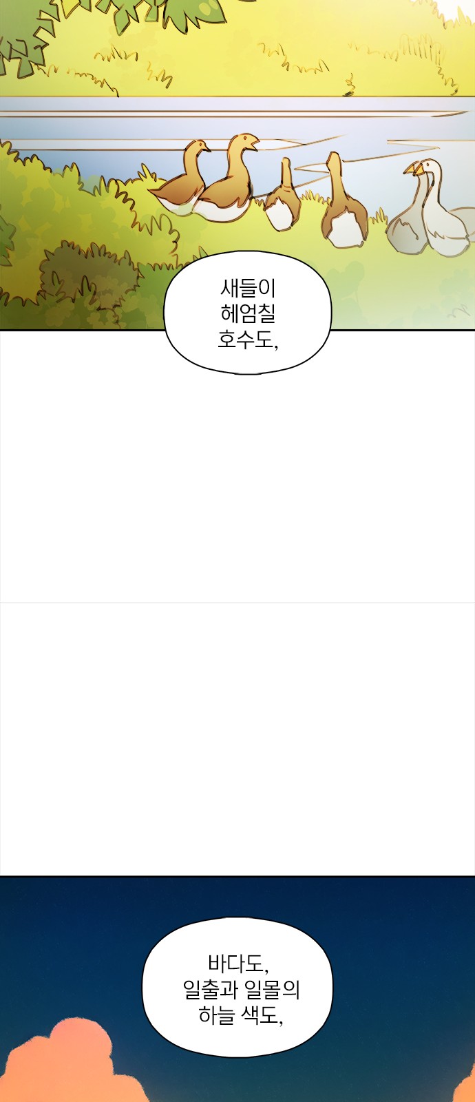 50 페이지